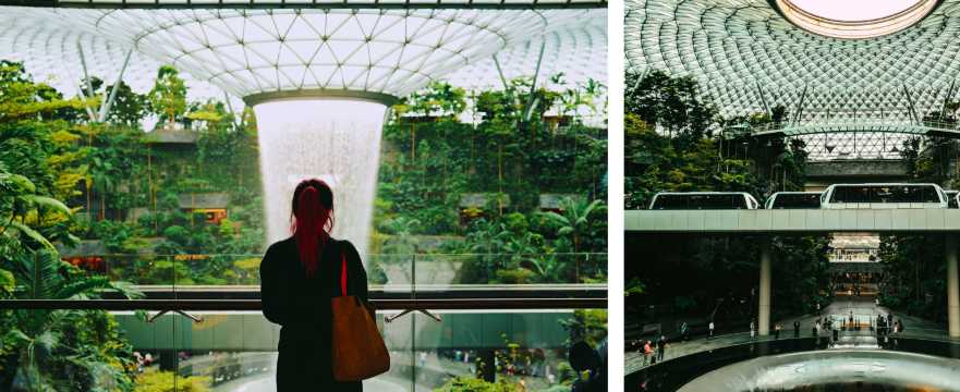 La cascata al coperto e il giardino tropicale dell'aeroporto di Singapore, visti da diverse angolazioni.