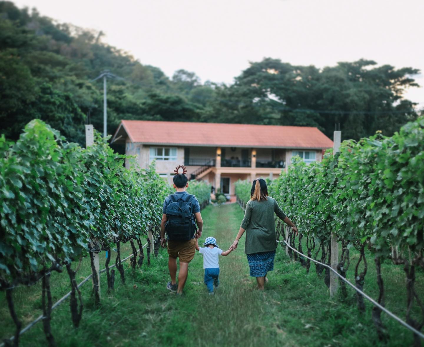 กรานมอนเต้ ไวน์คอทเทจ