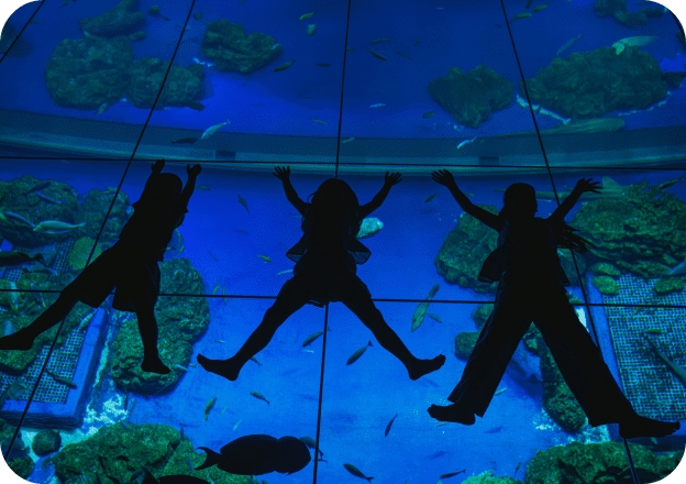 DMM Kariyushi 水族館｜必看亮點 2F CHURAMINAMO