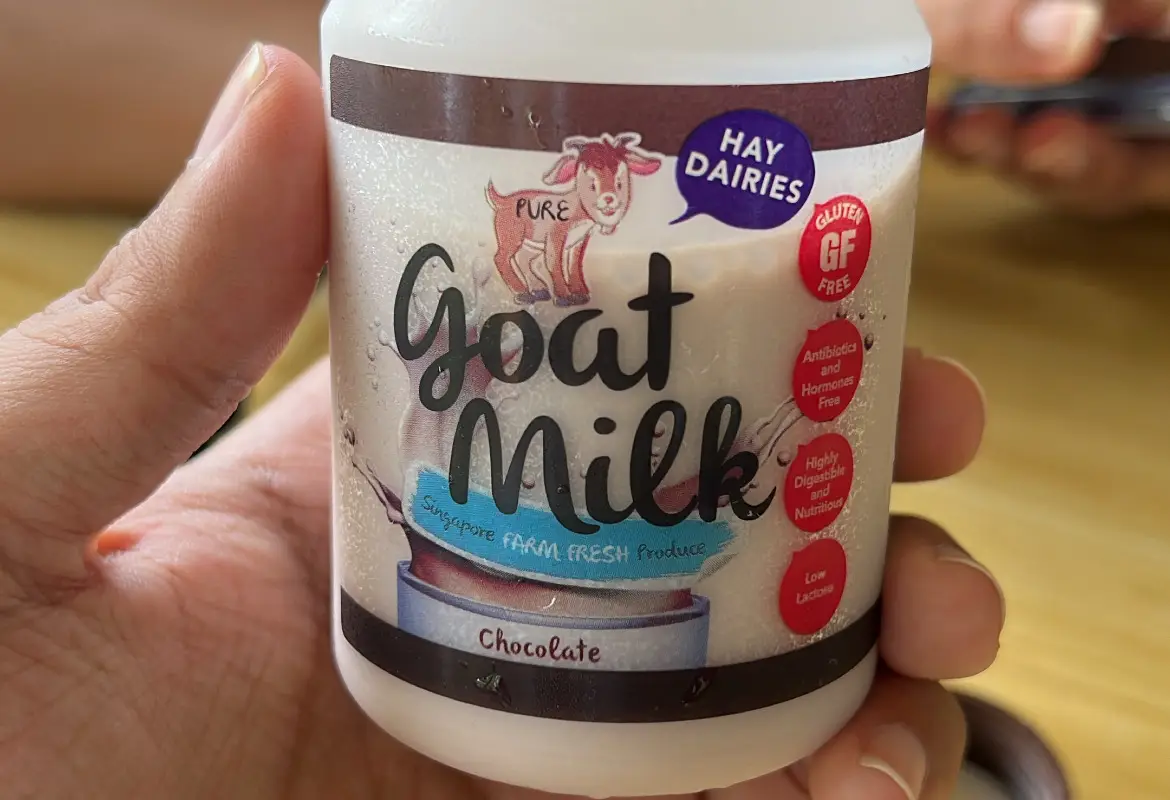 chocolate goat milk