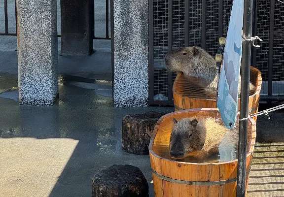 過年住宿|春節住宿訂房推薦 過年住宿推薦|宜蘭綠舞國際觀光飯店