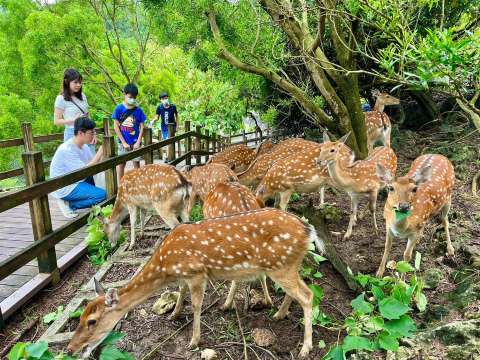 15 ที่เที่ยวเกาสง 2569 ปักหมุดพิกัดฮิตไต้หวันตอนใต้ เที่ยวง่าย ถ่ายรูปสวย | Trip.com