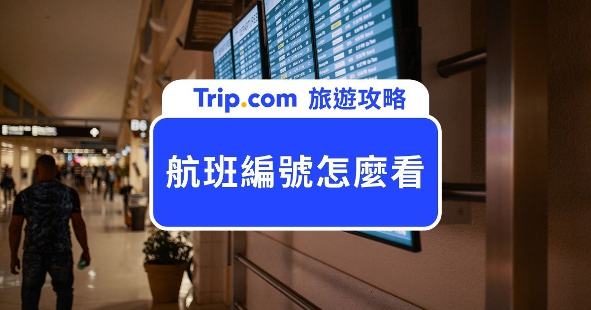 【航班編號怎麼看?】機票、登機證與 Trip.com 查詢方式一次了解 | Trip.com