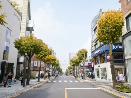 首爾景點 #1 新沙洞林蔭大道|江南