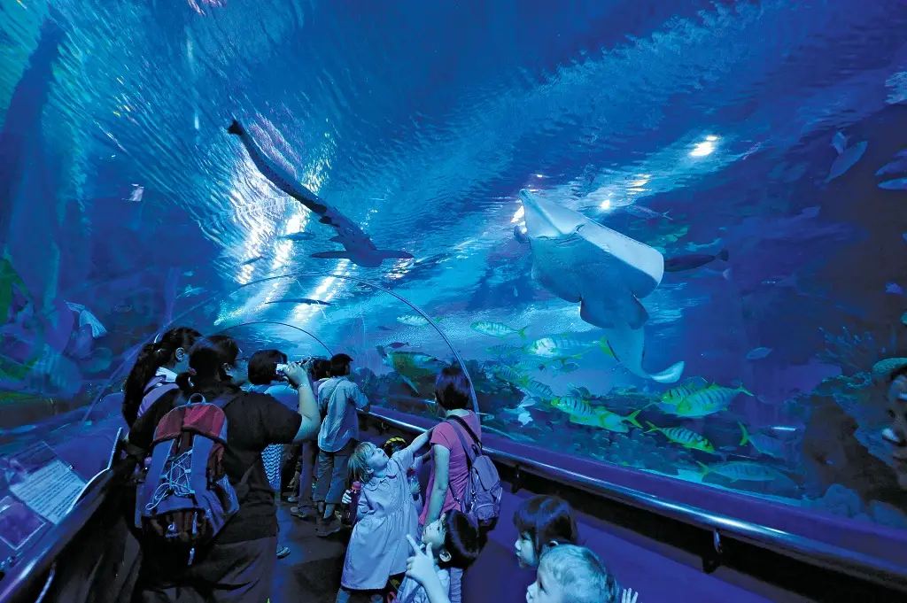 吉隆坡景點 #4｜城中城水族館