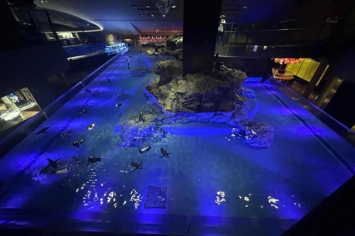 東京水族館推薦 #3 墨田水族館