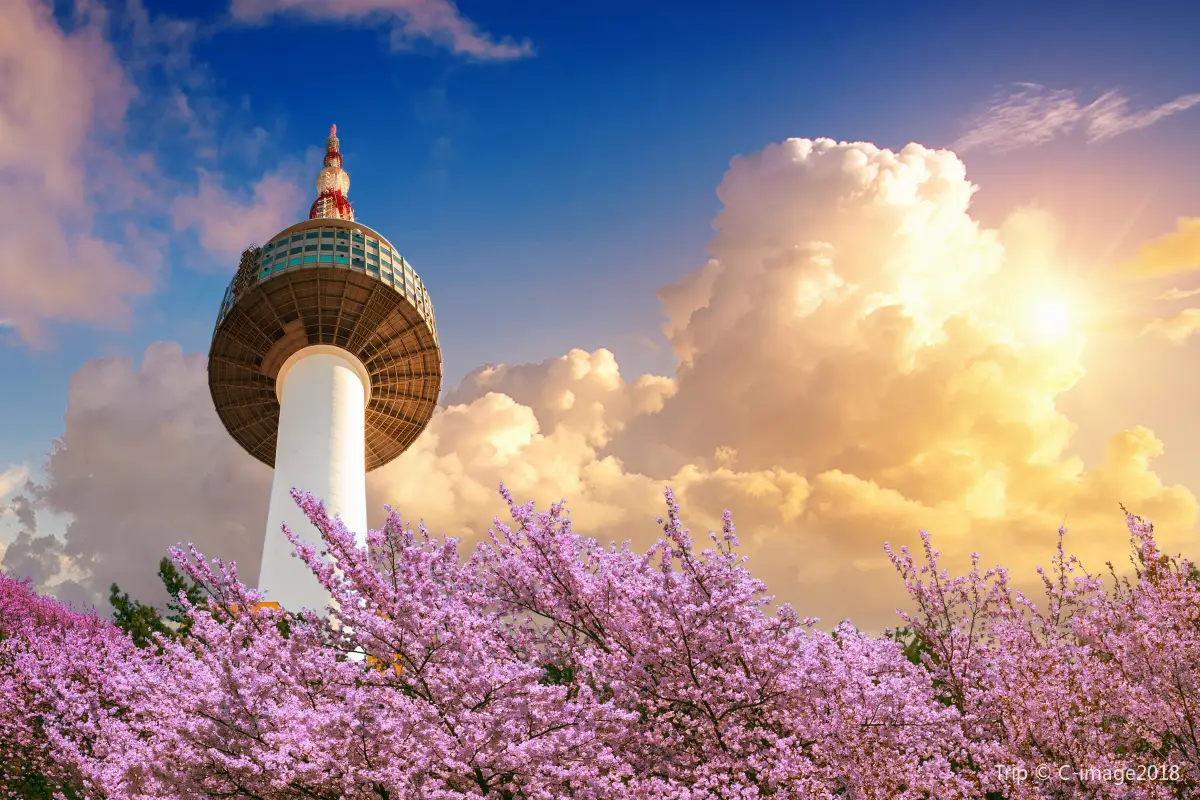view of N Seoul Tower