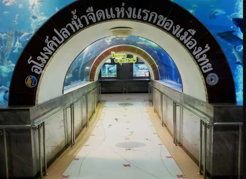 บึงฉวากเฉลิมพระเกียรติ