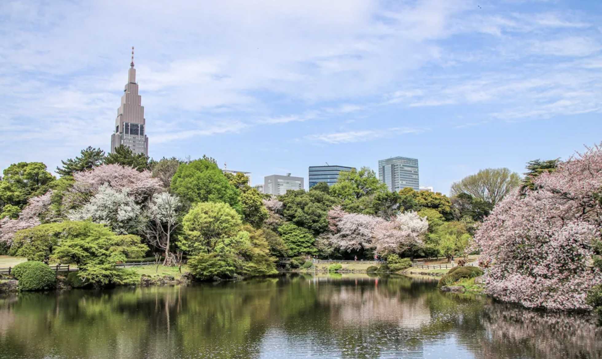 도쿄 신주쿠 쿄엔