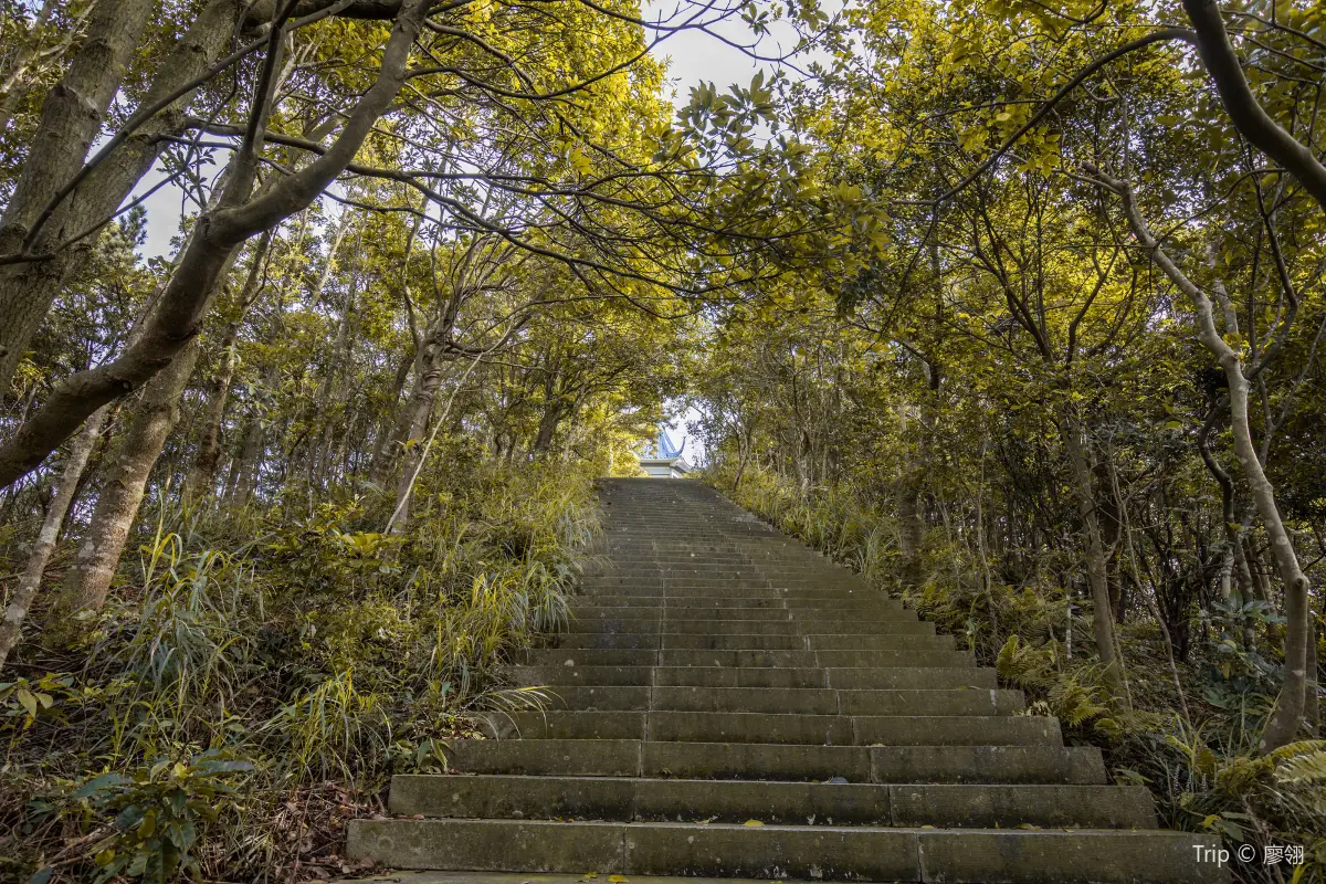 深圳自駕遊, 梧桐山