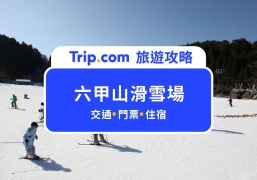 【六甲山滑雪場】神戶新手/親子友善滑雪場！滑雪超級新手或單純玩雪通通沒問題 | Trip.com