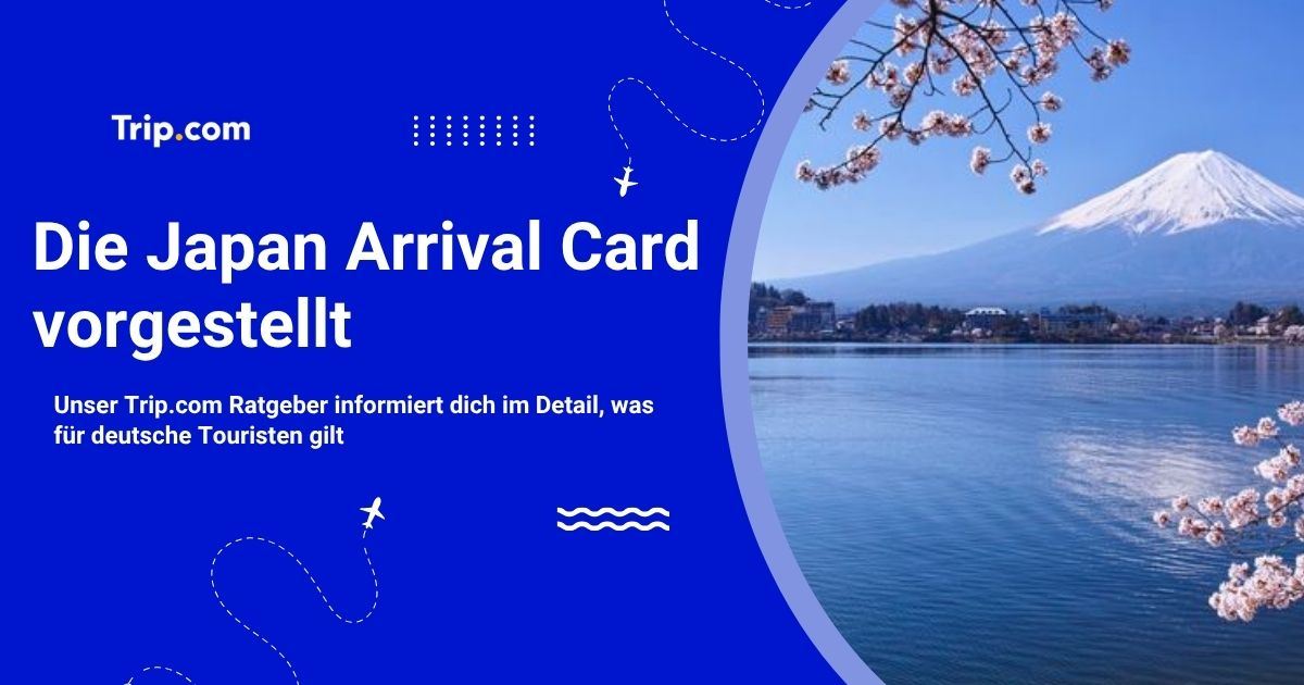 Japan Arrival Card