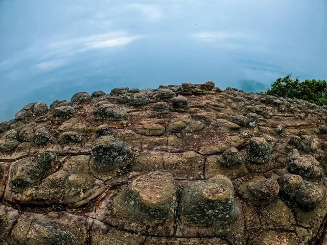 ลานหินปุ่ม