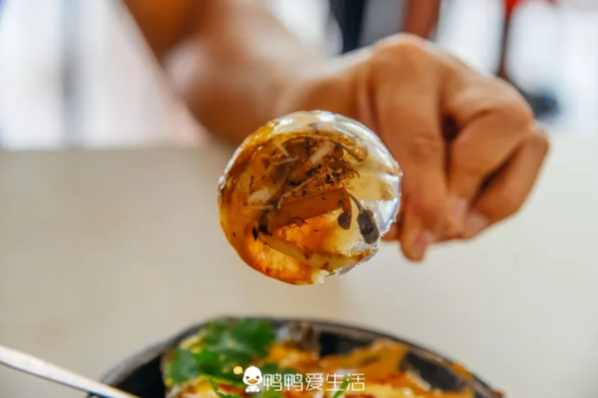 廈門美食 #3 土筍凍