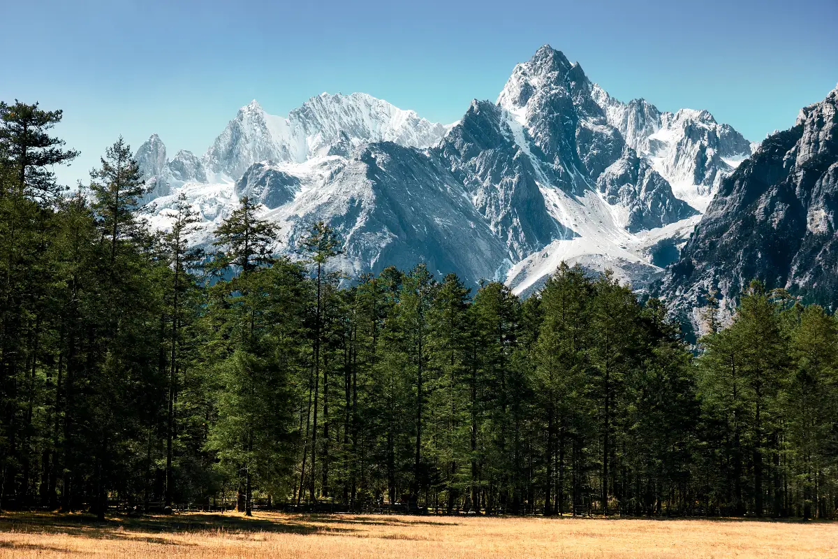 ทุ่งหญ้าหยุนซันผิง 