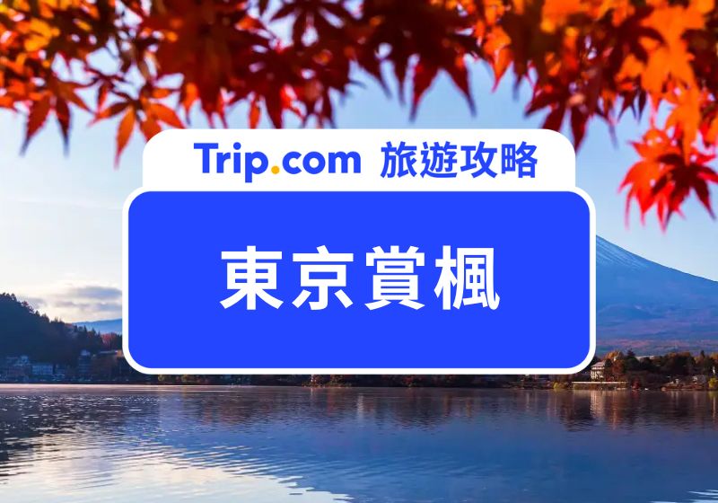 東京賞楓
