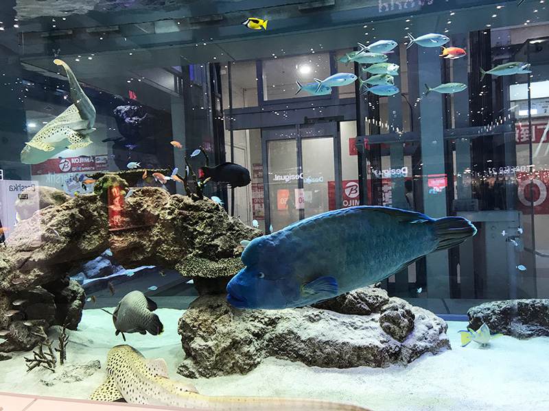 AEON MALL 沖繩來客夢大水槽