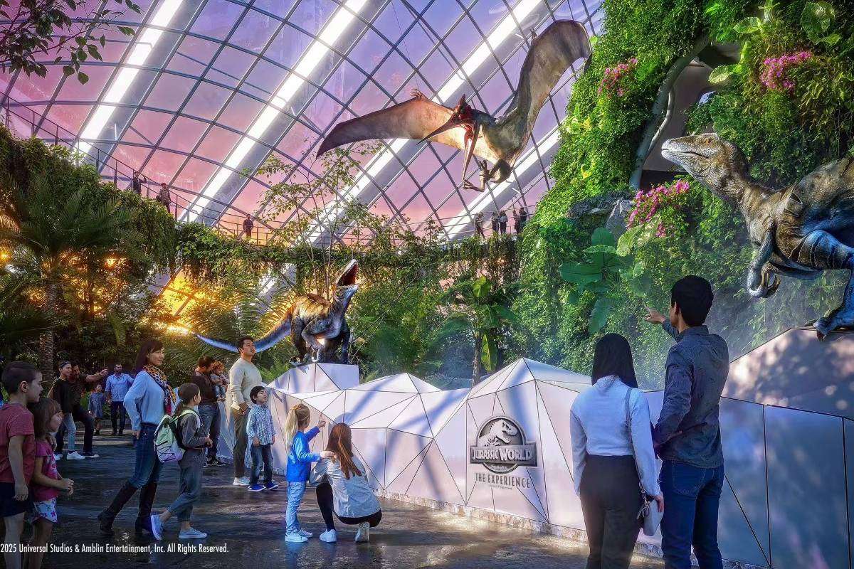 濱海灣花園亮點 #3 雲霧林 Cloud Forest