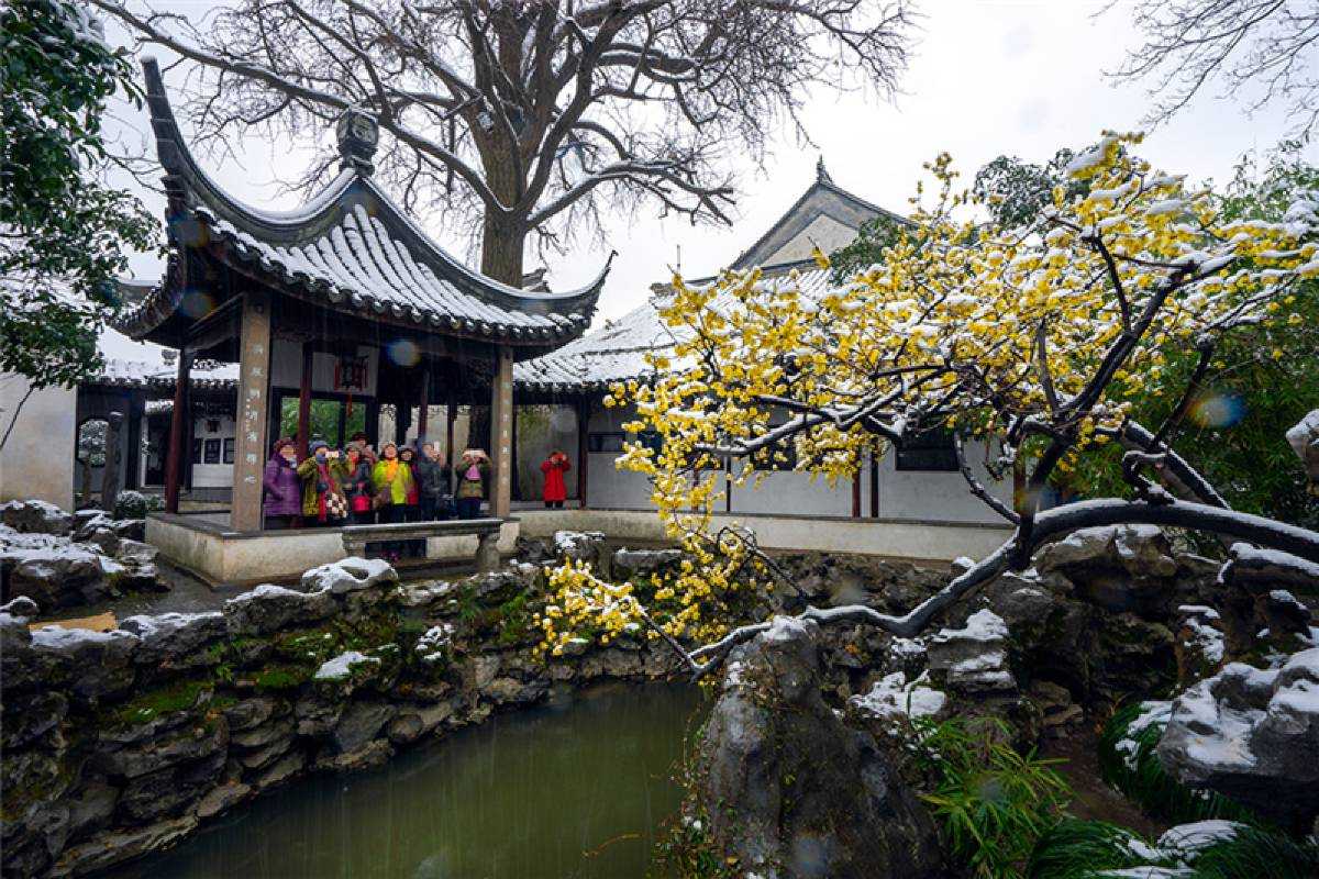 สวนตาข่าย