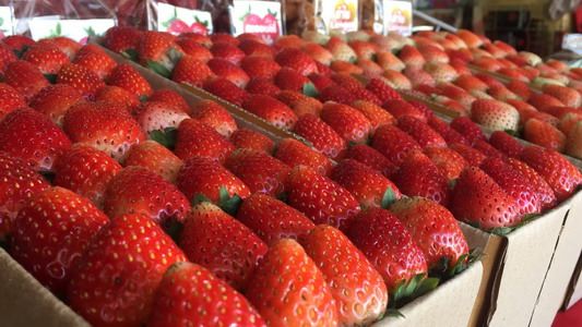 สตรอวเบอร์รี่ - ของฝากเชียงใหม่