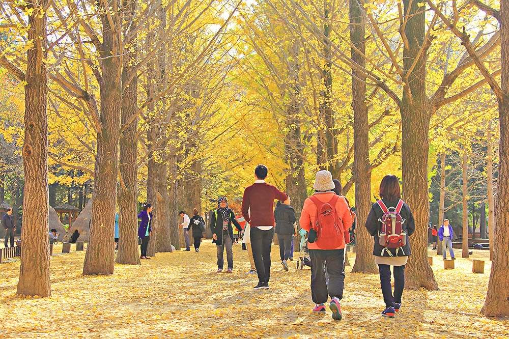 경기도 당일치기 여행 춘천 남이섬
