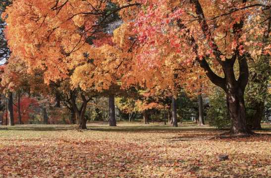 홋카이도 날씨 가을