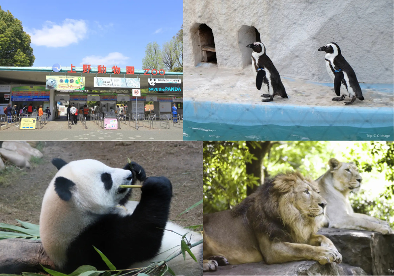 上野動物園
