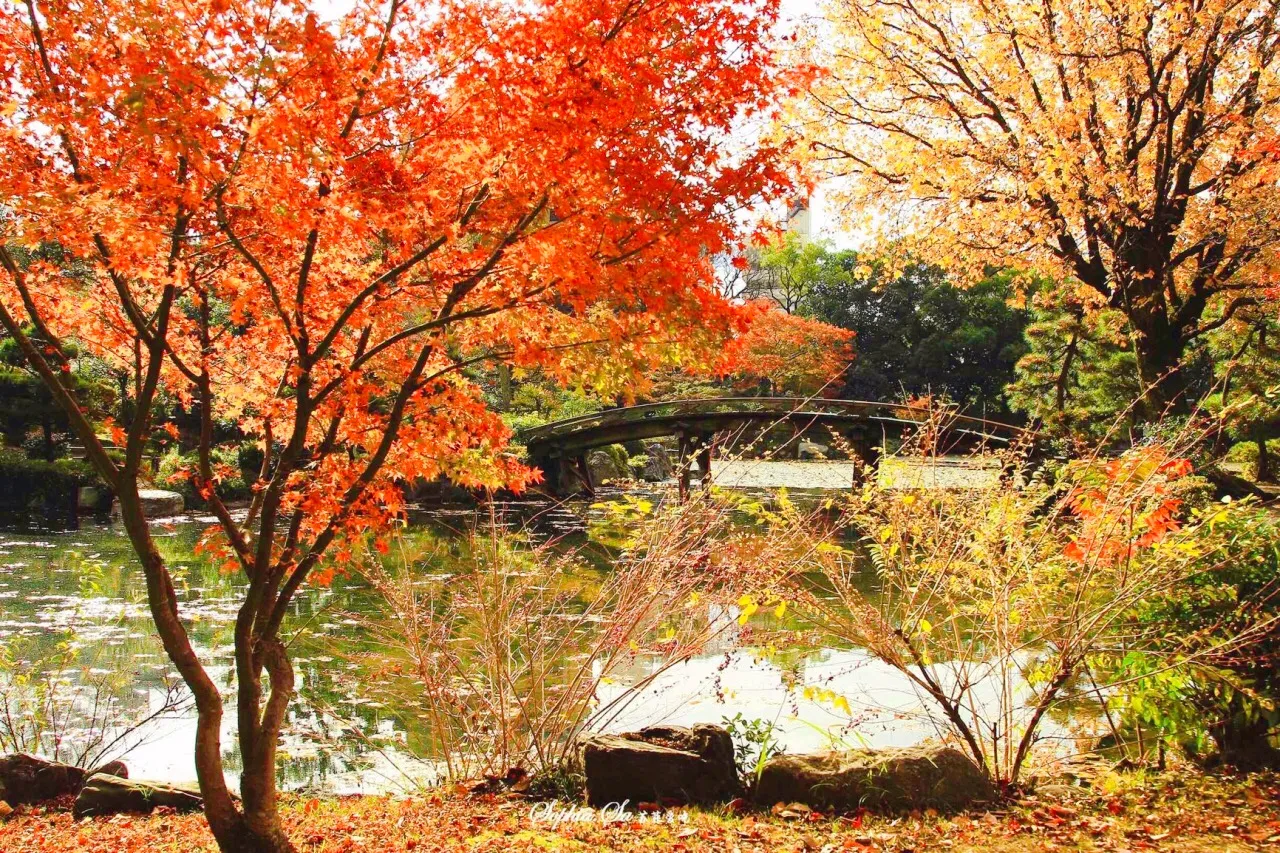 涉成園