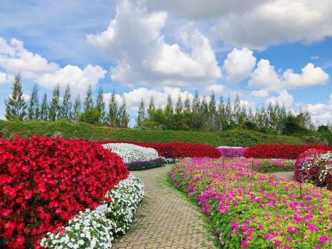 แนะนำสวนดอกไม้ตามฤดูกาล