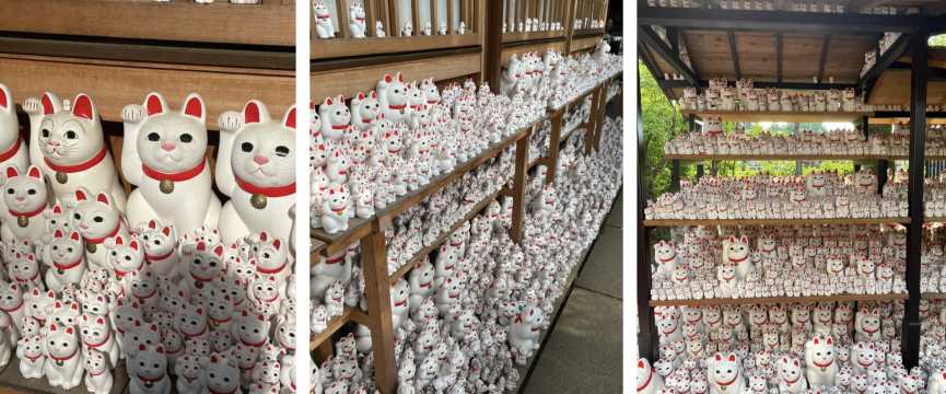 豪德寺