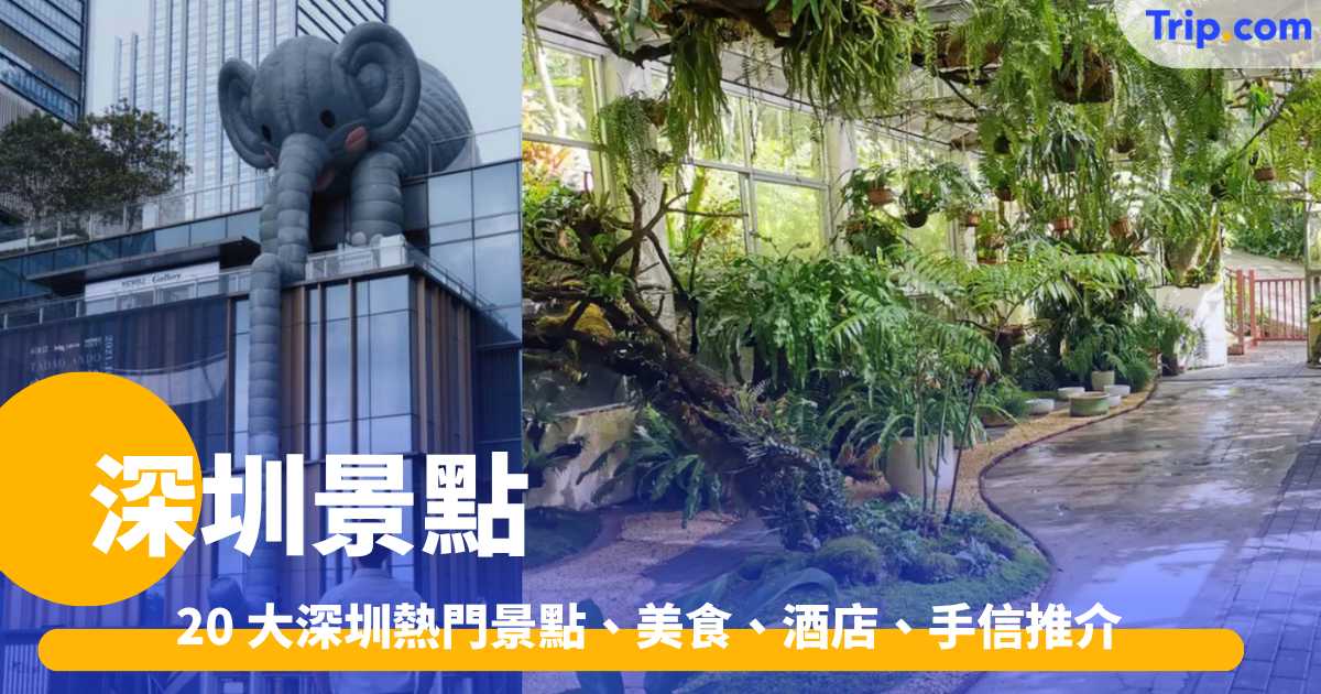 深圳景點 2026 - 20 大深圳熱門景點、美食、酒店、手信推介 | Trip.com