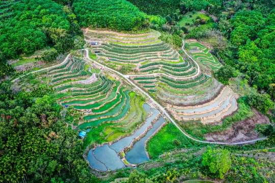 เกาะไหหลำ 2569: ครบทุกเรื่องที่ต้องรู้ก่อนเที่ยวฮาวายแห่งเอเชีย | Trip.com