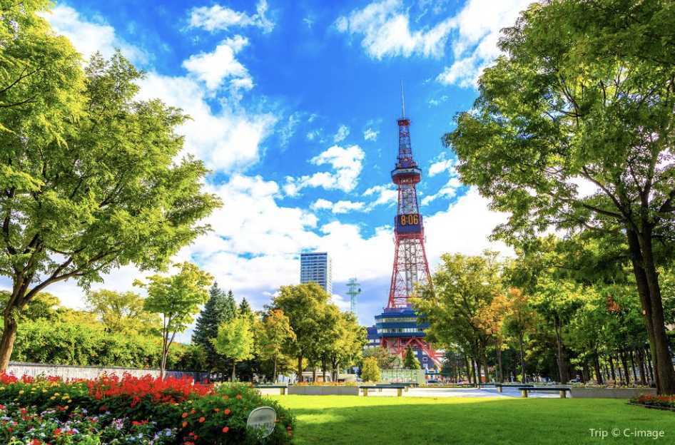 삿포로 자유 여행 3박 4일