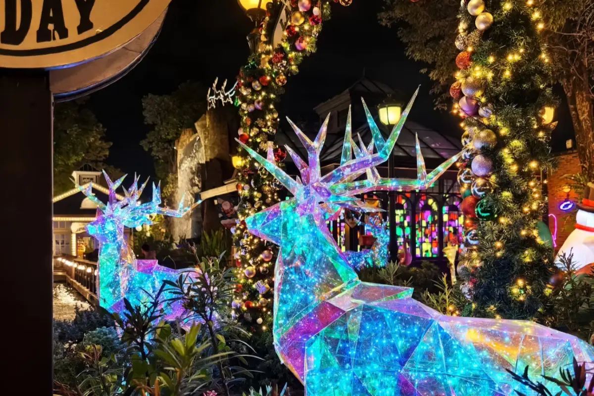 การเดินทางไปชอคโกแลต วิลล์