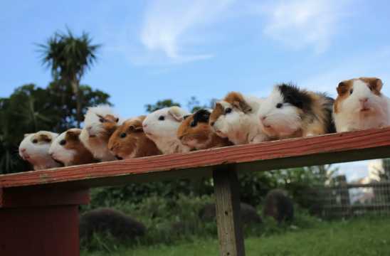 오키나와 어린이나라 무료