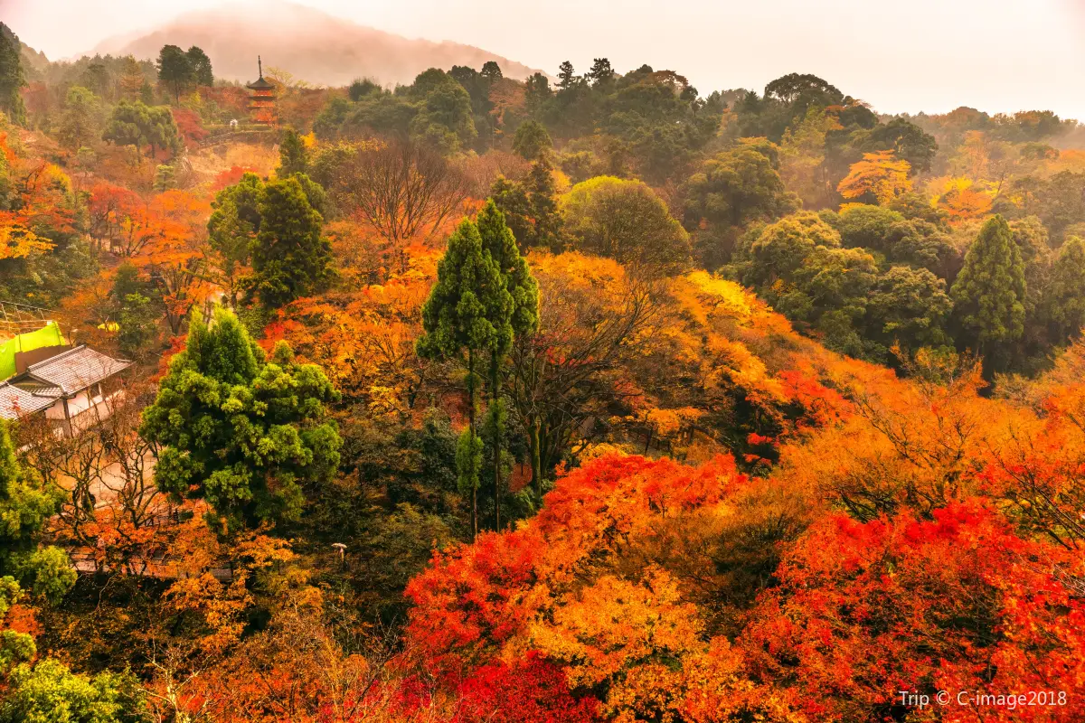 autumn view of Kiyomizu-dera Temple