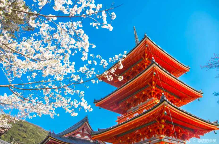 ญี่ปุ่น