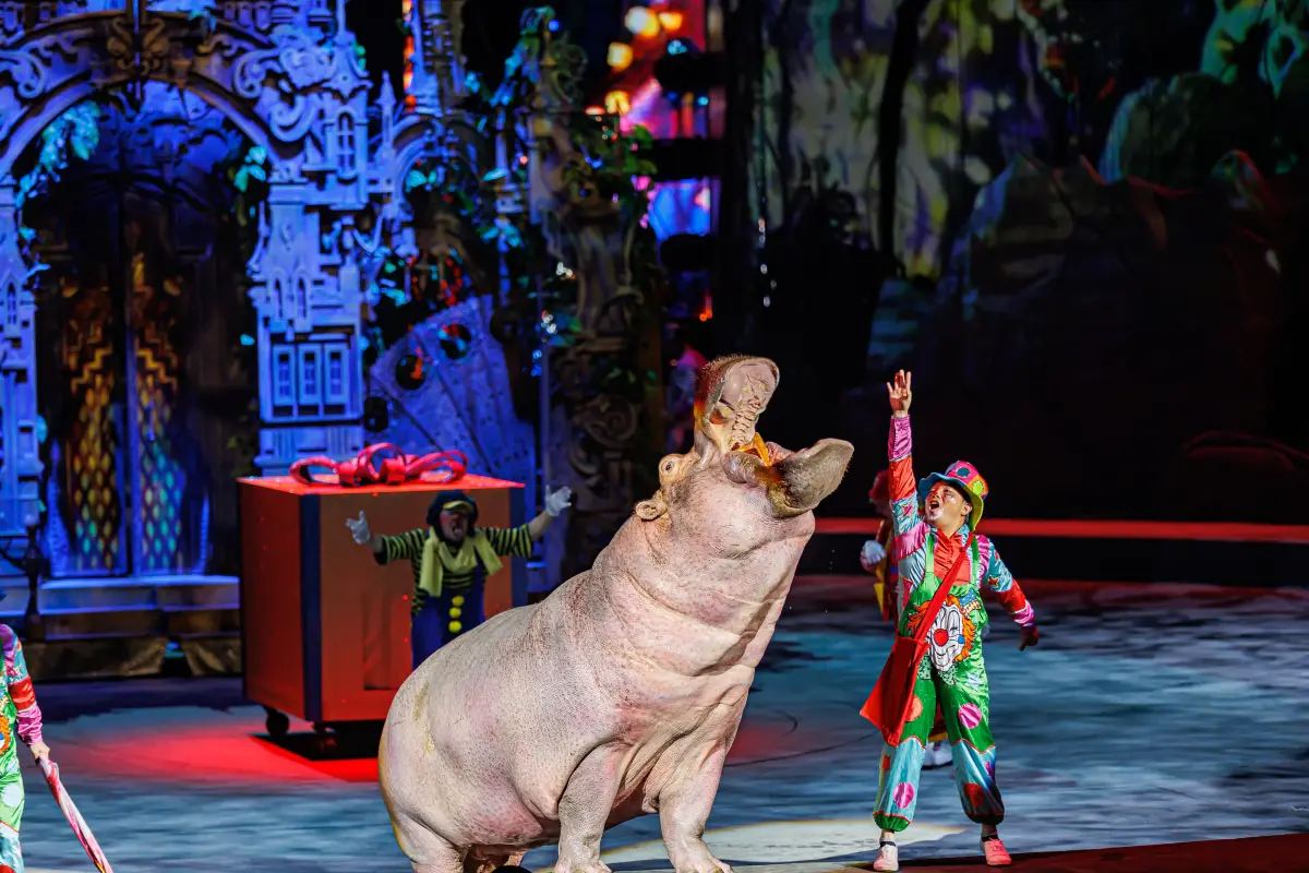 長隆國際大馬戲