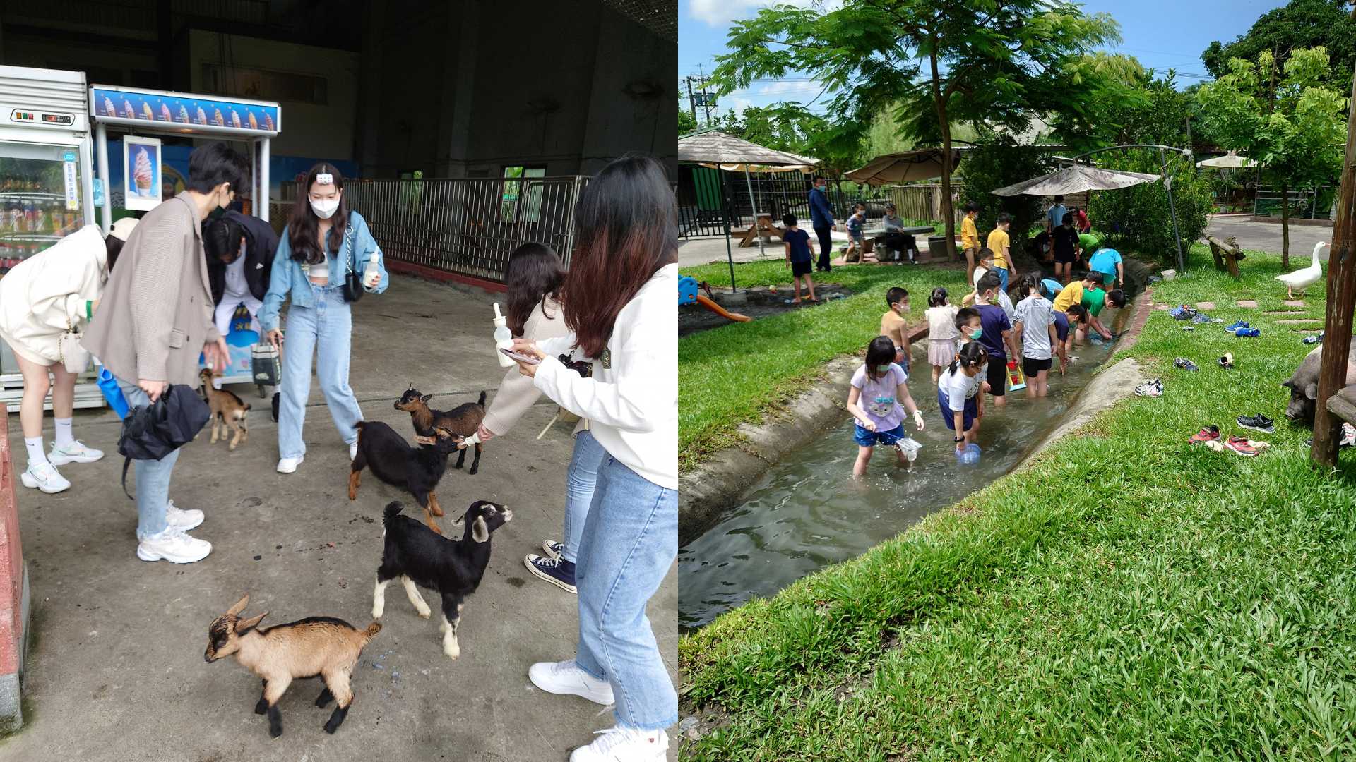 宜蘭農場｜心心農家樂