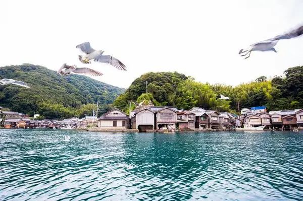 伊根灣觀光船景觀