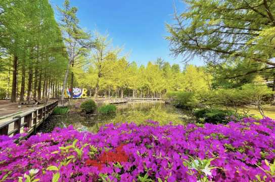 서울 근교 지하철 여행 남이섬