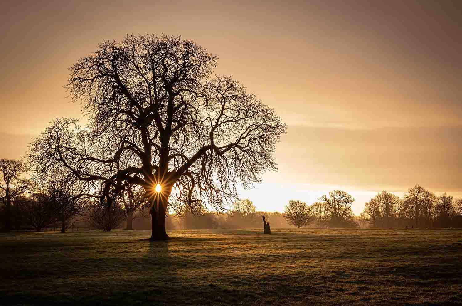 Headstone Lane to Northampton Train Travel Guide