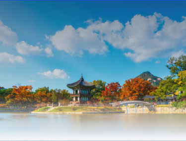 KTX 봄꽃 여행