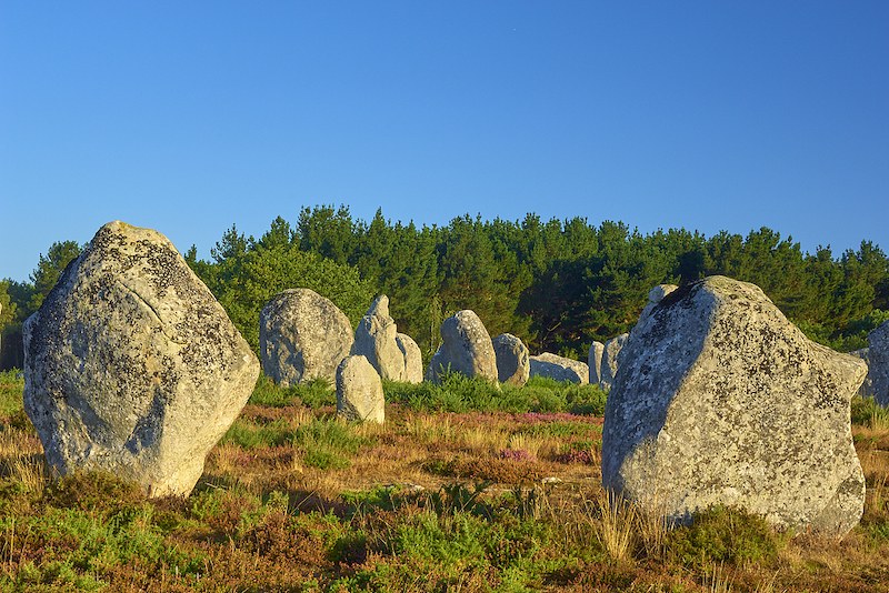 https://dimg04.tripcdn.com/images/1ny6112000iivdvneC193.jpg