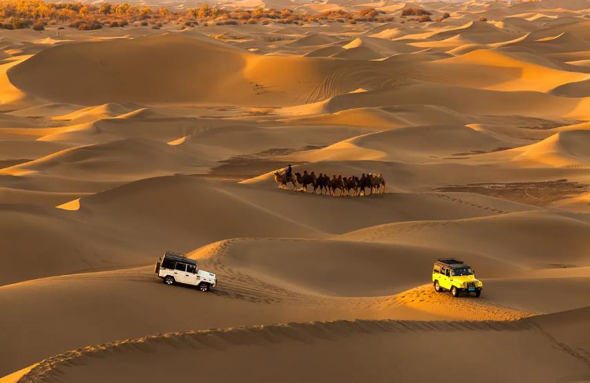 Desert Tours