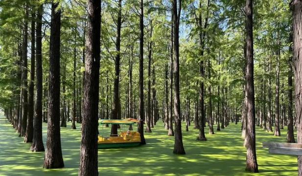 ป่าแนะนำในForks ปี 2569 (อัปเดตเดือนมีนาคม)