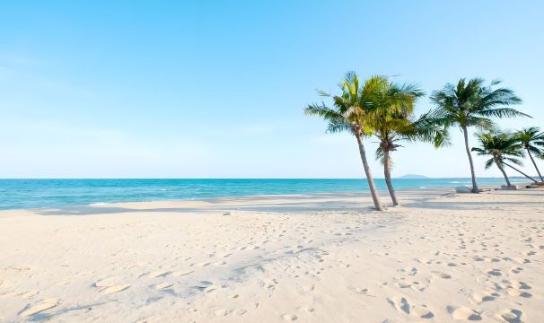 2026 Recommended Beaches in Dat Do (Updated March)