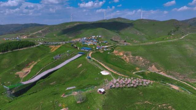 2026 위민 추천 초원 (3월 업데이트)