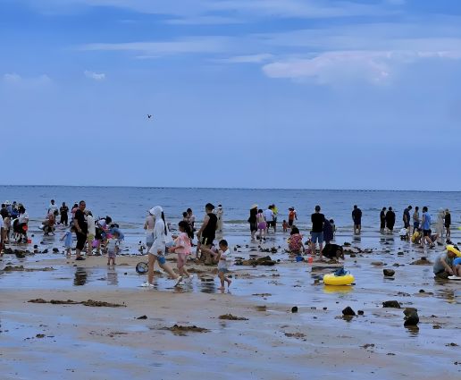 2025 Recommended  in Golden Beach (Updated May)
