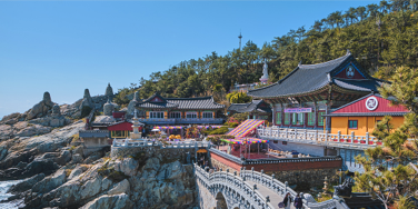 Suwon đi Busan